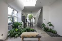 7 Loại Cây Trồng Trong Nhà Giúp Thanh Lọc Không Khí Tối Ưu Cho Không Gian Sống